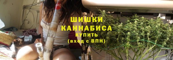 тгк Пересвет